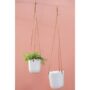 product-275528-1789660516-ACC01-0001038^2
